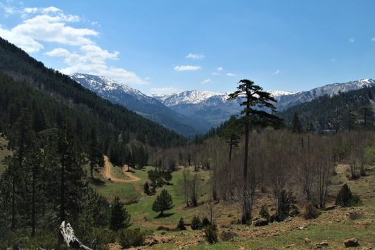 Βάλια Κάλντα